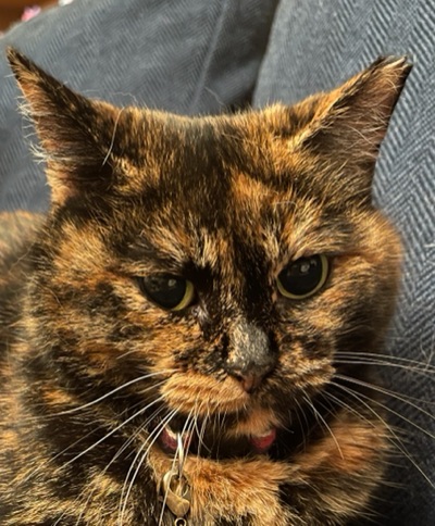 長女・みやび♀との馴れ初め