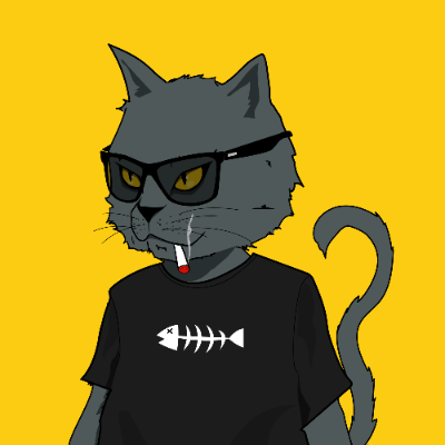 opensea　-nasty looking cat-
