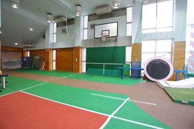 SATAスポーツ医科学研究所web