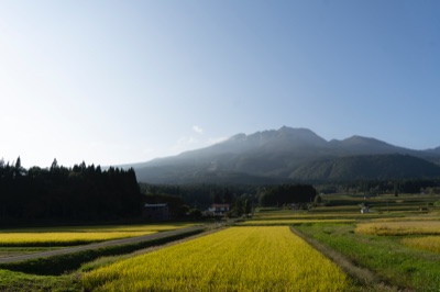 🌾国産米麺を第四の麺に🌾