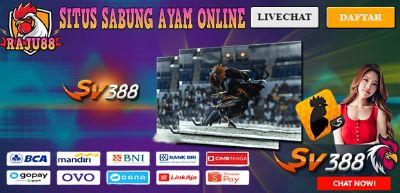 AGEN SV388 TERPERCAYA