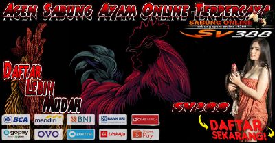 Sv388 Live Terbaru 24 Jam