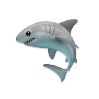 profile icon