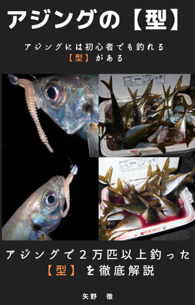 2万匹釣ったアジングの【型】電子書籍