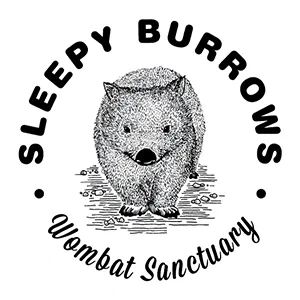 Sleepy Burrows Wombat Sanctuary