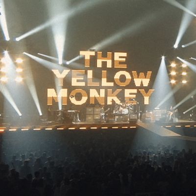 Watch THE YELLOW MONKEY