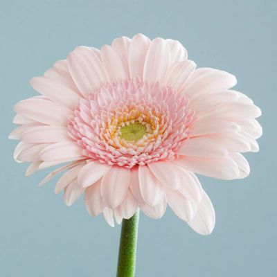 ♡各種お問い合わせフォーム♡