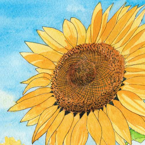 🌻Twitter