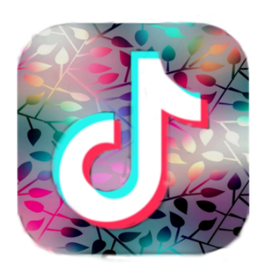 𝐓𝐢𝐤𝐓𝐨𝐤