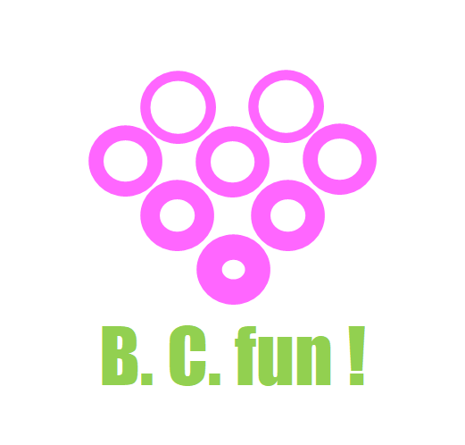 B.C.fun!    BLUE | SHIP