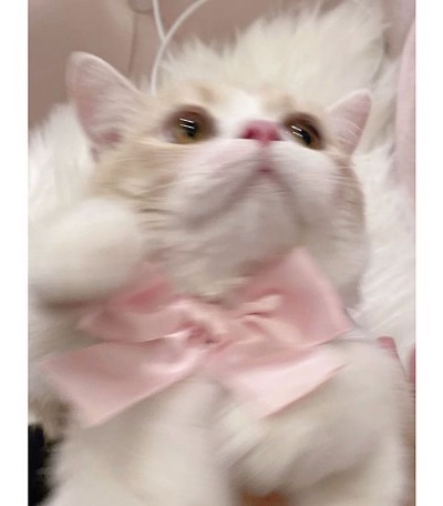 Facebook page (407K)