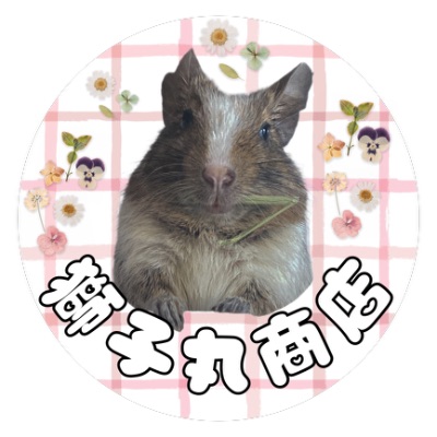 profile icon