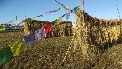 小川町方面のお客様