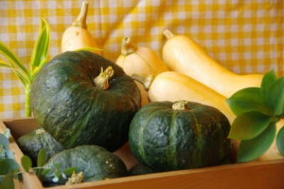 記事連載②【滋賀県長浜市】