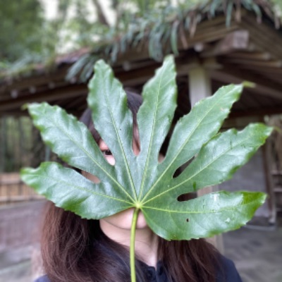 profile icon