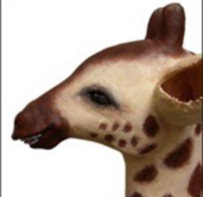 profile icon