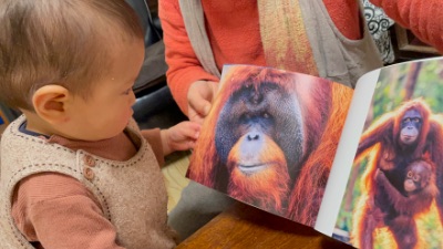 寄付を募っております！