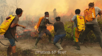 緊急募金🌳もう一度、森で生きる力を。野生動物の「命をつなぐ島」をつくりたい！🦧
