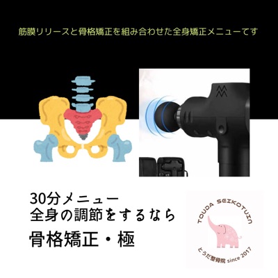 骨格調整・極
