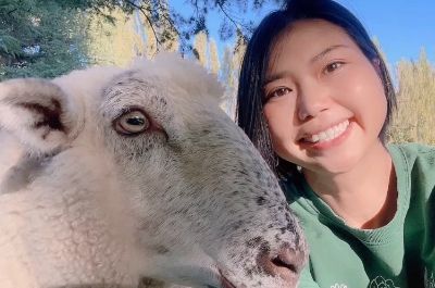 Arikatamederu【Chico】