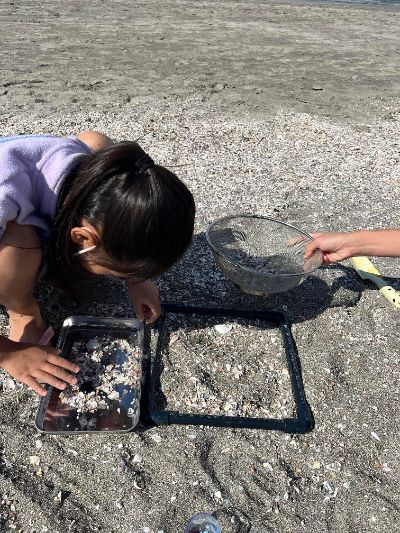 博士と調べる逗子海岸・海の環境しらべ隊