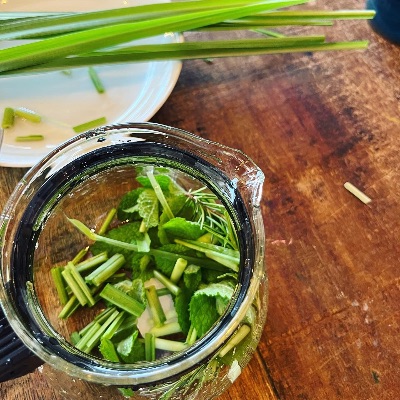 フレッシュハーブの五感ワークショップ