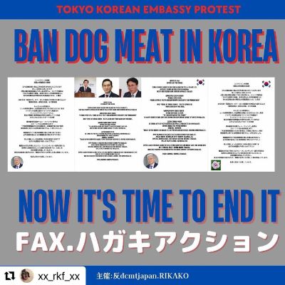 【ハガキ・FAX】アクション大使館領事館宛/ In Japan Only 