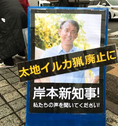 【🐬太地イルカ猟】関連総合LITLINK / LITLINK for Against Whaling/Dolphin Hunts of Japan