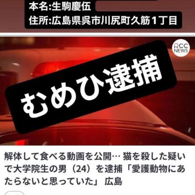 JAP2【３秒メール】by レナ様　日本犬肉食禁止とイヌネコ狩猟の禁止を求める/Easy Email for urging Japanese government to ban dog meat consumption and hunting dogs/cats  