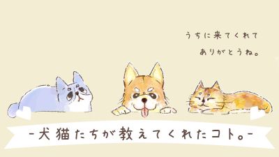犬猫たちが教えてくれたコト。