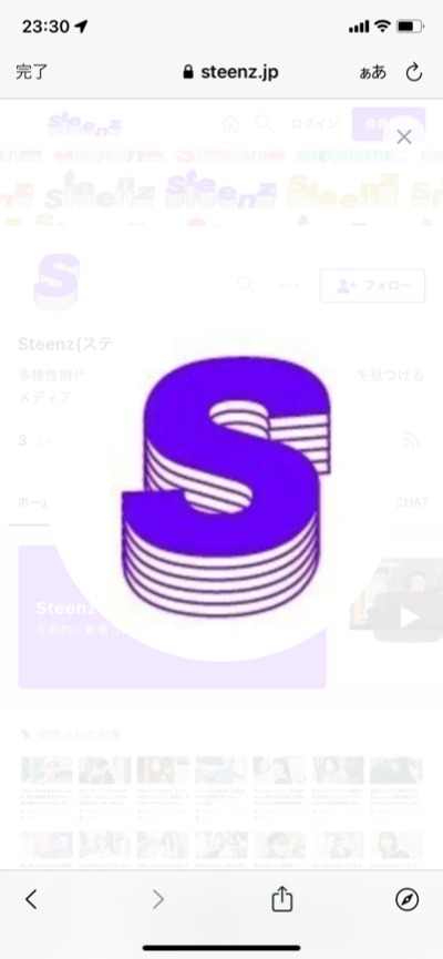 steens記載