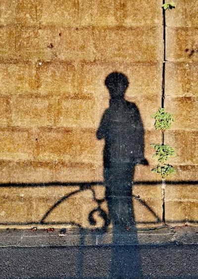 profile icon