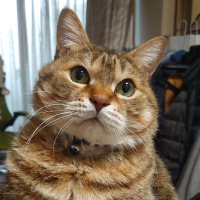 profile icon