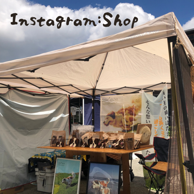 Instagram:Shop