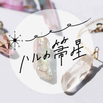 ハルの箒星　Instagram
