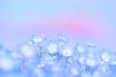 むらいさち Official HP