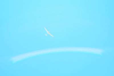 Sachi Murai Online Store