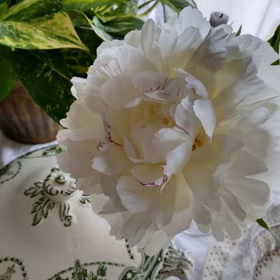 はじめまして🤗