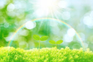 自己愛セラピストとして