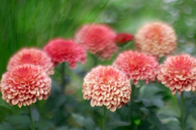 写真沼Twitter