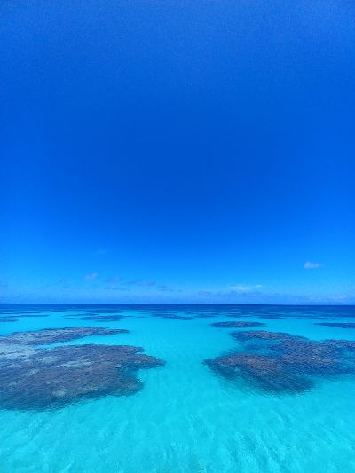 💙　アクティビティJAPAN　💙