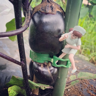 ふもとも農園公式ホームページ