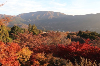 箱根の高級旅館１３宿。客室露天風呂付きなど