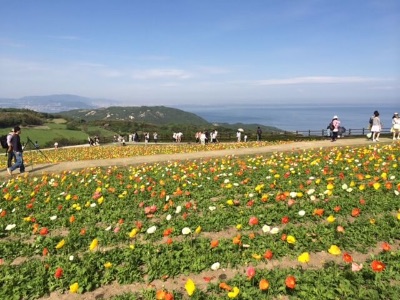 淡路島のおすすめの高級旅館・高級リゾートホテル