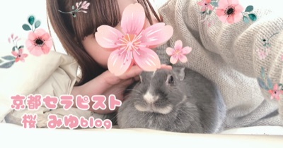 ＊ Blog ＊ 