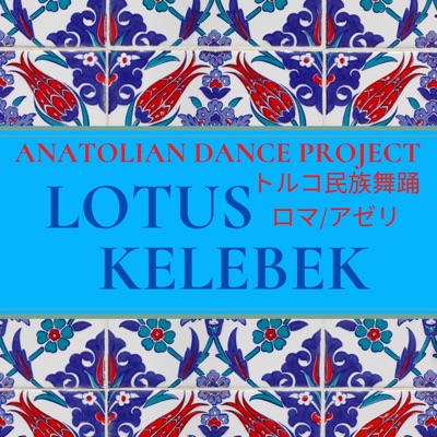 トルコ民族舞踊グループ Instagram 