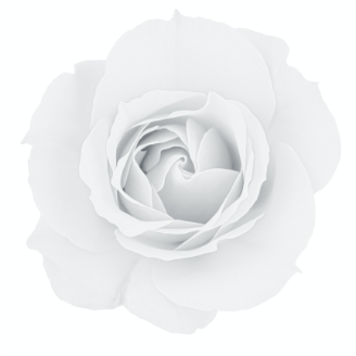 Hiraoka Emily official blog