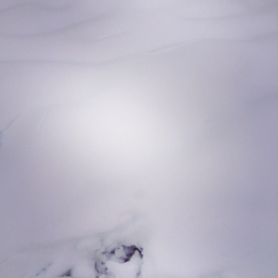 「Stellar Series」Episode 72 - iwamaki 2022