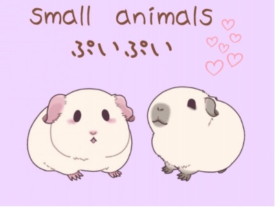 small animals ぷいぷい