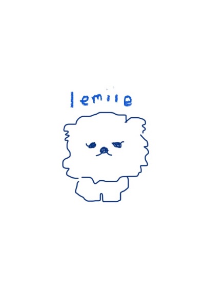 モコのインスタ🐶